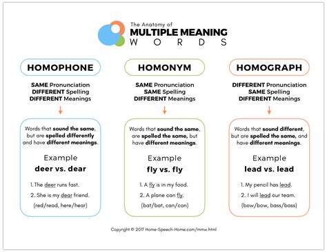 Multiple Meaning Words Speech Therapy - Letter Words Unleashed