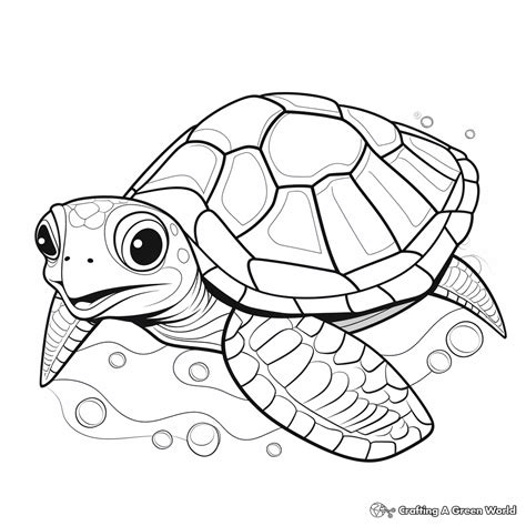 Image result for Turtle Shell Coloring