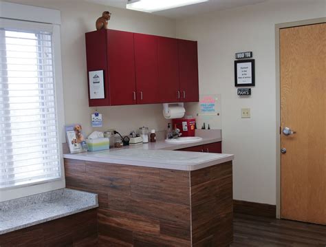 Puppy & Kitten Care in Mokena, IL at Mokena Animal Clinic