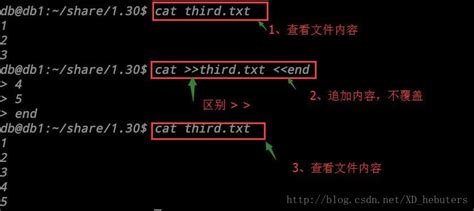 Linux cat创建文件，文件追加，文件清空