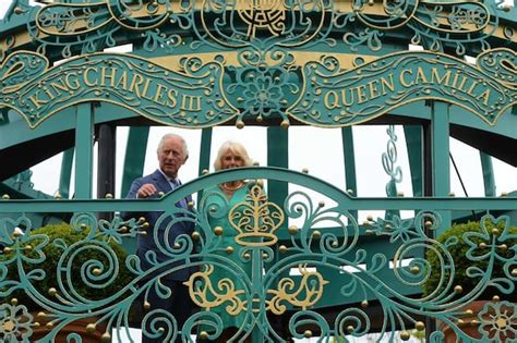 Gardening expert Diarmuid Gavin visits south Belfast alley which has ...