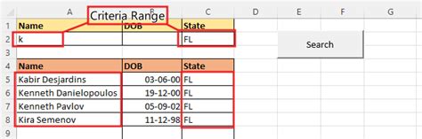 Excel Advanced Filter with a Macro Button 的图像结果