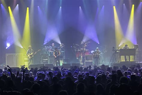 Image result for String Cheese Incident Live