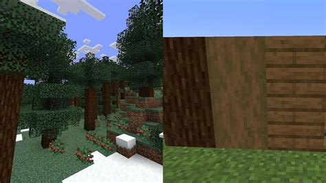 How to get spruce wood in Minecraft