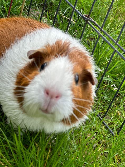 GUYS I FOUND WALKERS LEAKED COSTUME FOR SEASON 2??? ‼️‼️🔥🔥💯 [pjo] : r/camphalfblood