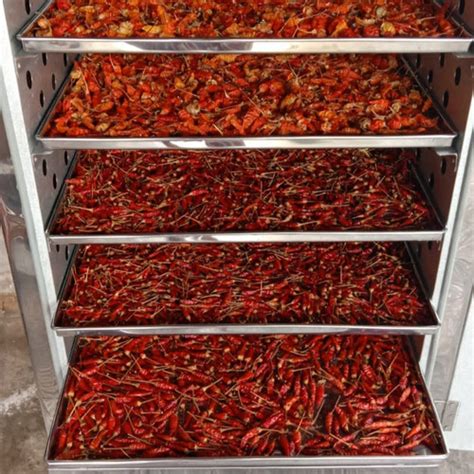Jual Oven Pengering Jahe cabe - Oven 10 Rak 1 Pintu Tipe Gas - Kab ...