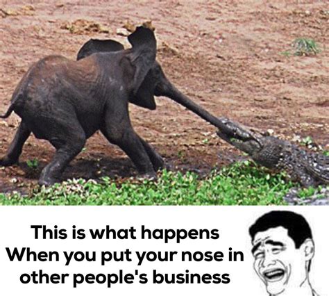 17 Memes About The Art Of Minding Your Own Business - Funny