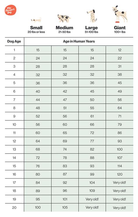 Puppy Teeth Age Chart