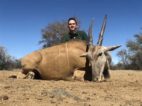Caza en Caza Con Arco África - Namibia 2026 - de Onís Safaris