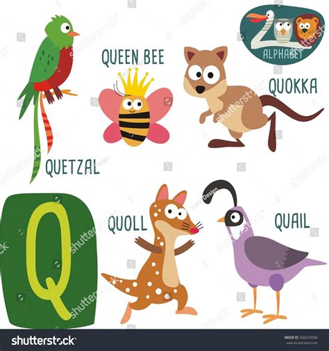 What Animals Start With Letter Q at Jasmine Fiorini blog