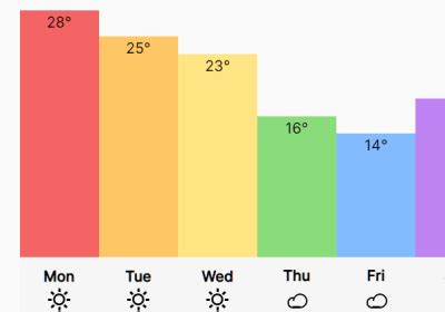 Image result for CSS Data Visualization