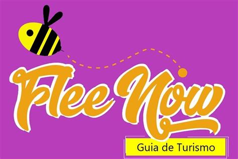 Gc flee now - Cancun | Tripadvisor