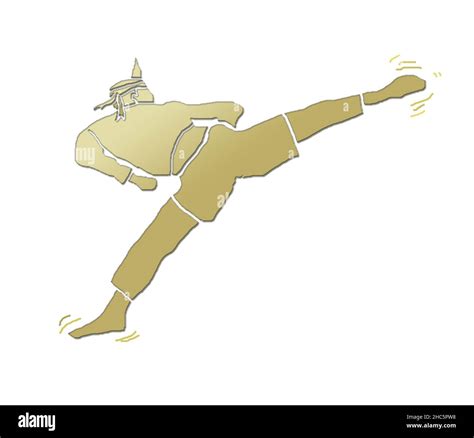 Image result for Silat Boxing