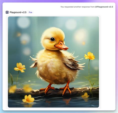 Poo13 Code 的图像结果