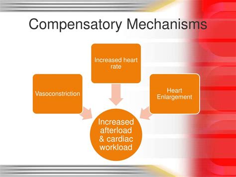Image result for Heart Failer Compensatory Processes