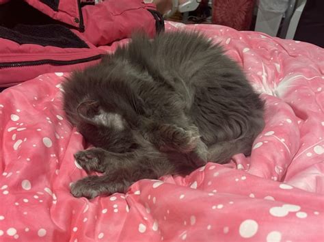 Image result for EEP Tutorial for Beginners