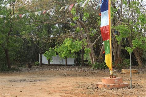 Bangalore Historic Walking Tour, India - Klook India