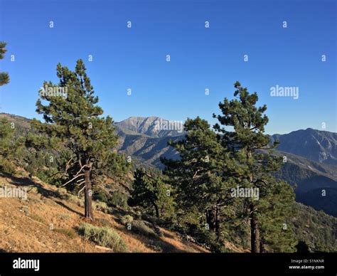 Los angeles crest highway hi-res stock photography and images - Alamy
