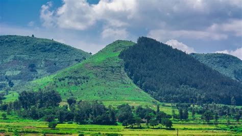 Best Time To Visit Araku Valley: When to Visit and Not Visit!