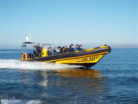 ANGLESEY BOAT TRIPS (2026) All You Need to Know BEFORE You Go (with ...