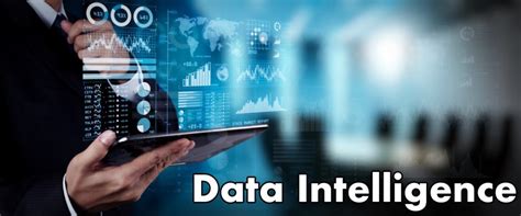 Data/Information Intelligence Example 的图像结果