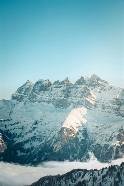 Economic Liberalism Vs Neoliberalism Photos, Download The BEST Free ...