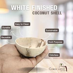 Coco Land Coconut Shell Finished Bowl (Medium Size Pack Of 15) (8-10 Cm ...