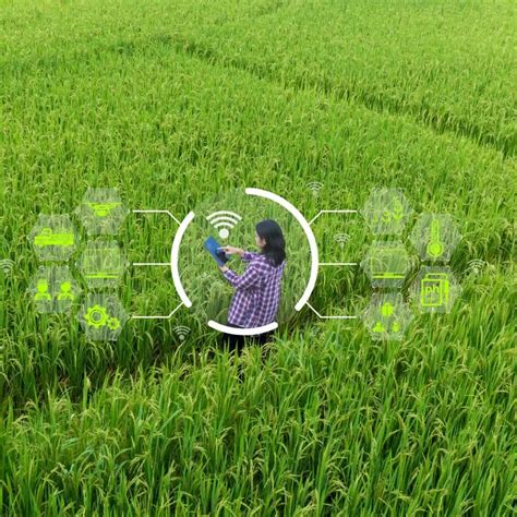 Precision Grow: Advanced Agri-Tech for Sustainable Farming