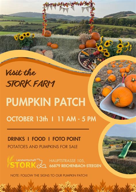Pumpkin Patch - Stork Farm ?, Reichenbach-Steegen, Kusel, 13 October ...