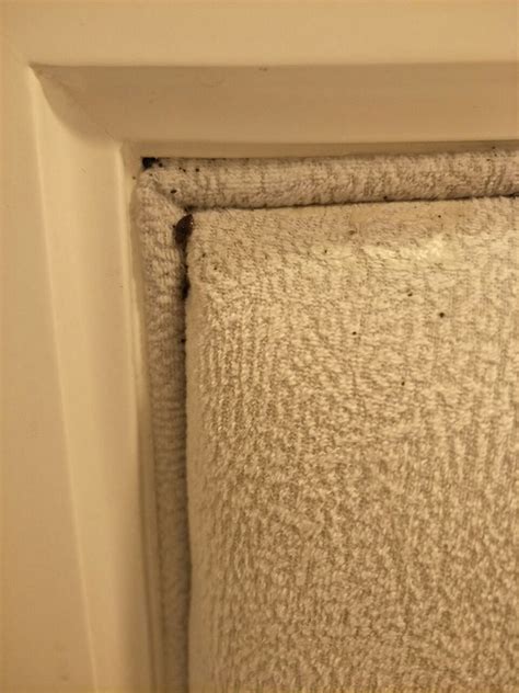 ALEPH HOTEL ISTANBUL - Hotel Reviews, Photos, Rate Comparison - Tripadvisor