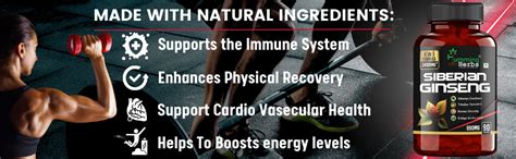 Humming Herb Siberian Ginseng | Energy Boosting, Immune Supporting ...