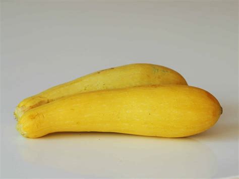 Yellow Squash Benefits For Baby at Jason Rocha blog