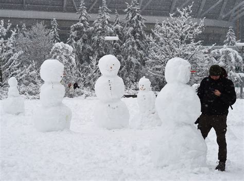 Vancouver's Weather: Navigating the Shifting Climate and Its Effects - Green At Home