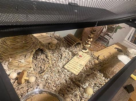 Buy BBjinronjy Hamster Chew Toys Set Small Animal Molar Toys Teeth Care ...