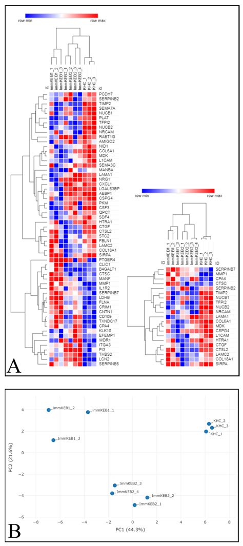hTERT-Driven Immortalization of RDEB Fibroblast and Keratinocyte Cell ...
