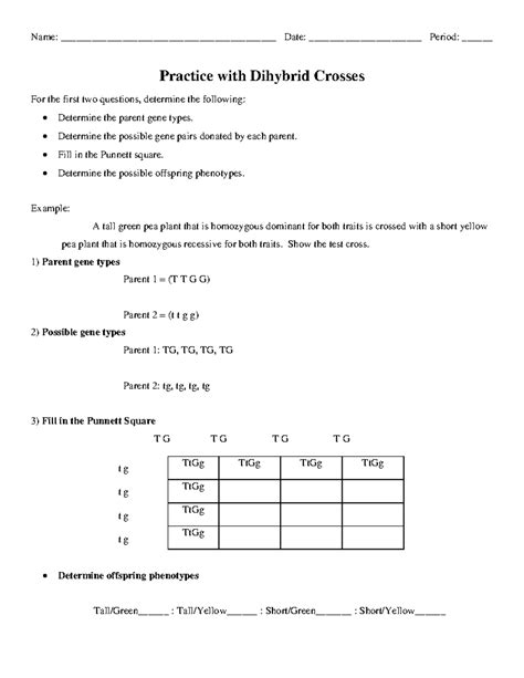 Dihybrid Cross Practice - Name ...