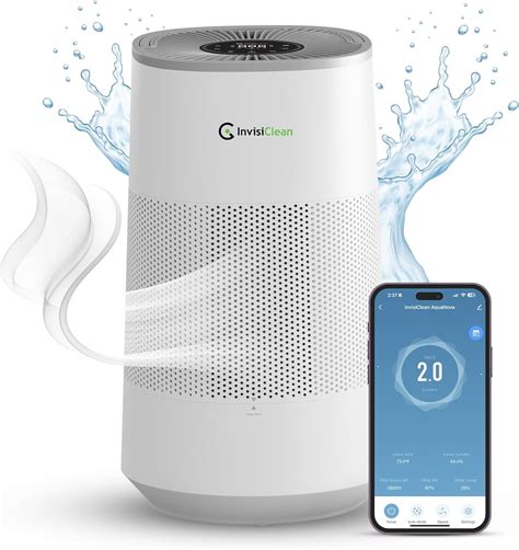 What Is the Best Air Purifier and Dehumidifier Combo [In 2026]