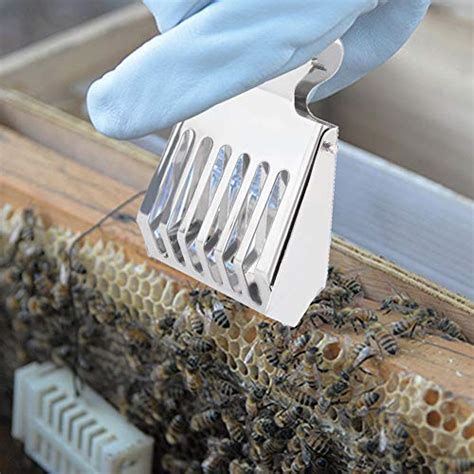 Amazon.in Bestsellers: The most popular items in Beekeeping Tools