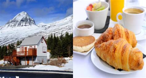 Best Cafes With Views In Tosh, Himachal | WhatsHot Delhi Ncr