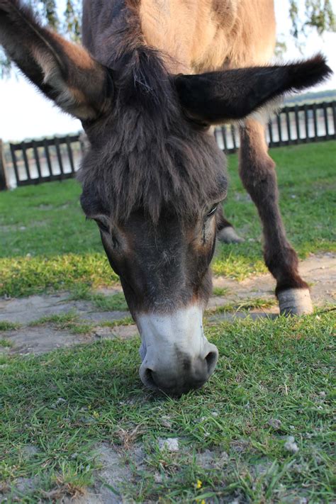 Image result for Mule 4 Foreach Example