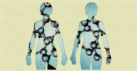 CRISPR Kit for Humans 的图像结果
