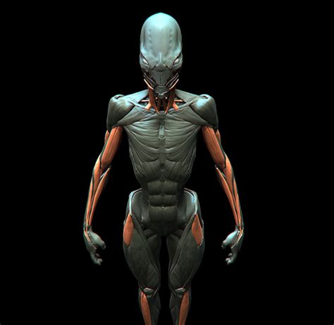 Alien Organs 的图像结果