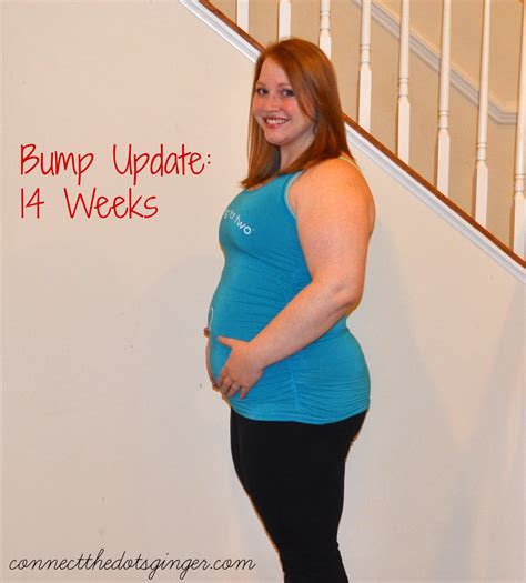 Connect the Dots Ginger | Becky Allen: Bump Update: 14 Weeks