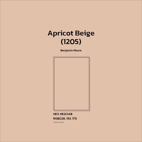 What Color is Apricot A Friendly Guide