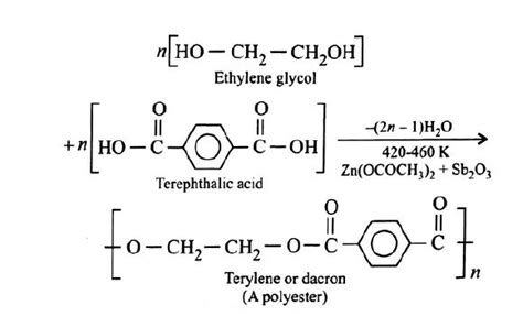What are the monomers of polyester? - Tardigrade
