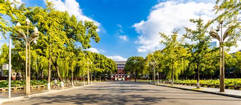 四川大学望江校区，你知多少？著名校门、经典建筑、荷花、银杏？