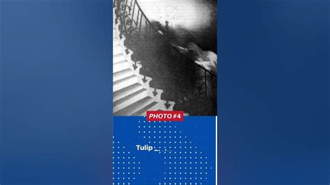 Image result for Pictures That Cannot Be Explained