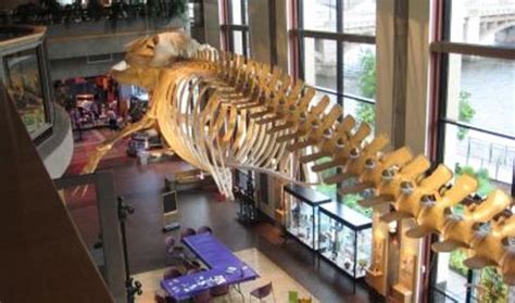 THE 10 CLOSEST Hotels to Grand Rapids Public Museum