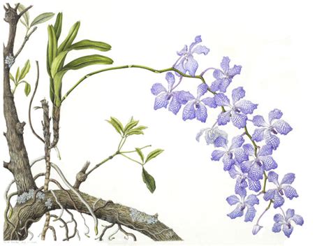 Art Prints – Curator's Cart