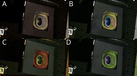 How Animals See Color 的图像结果